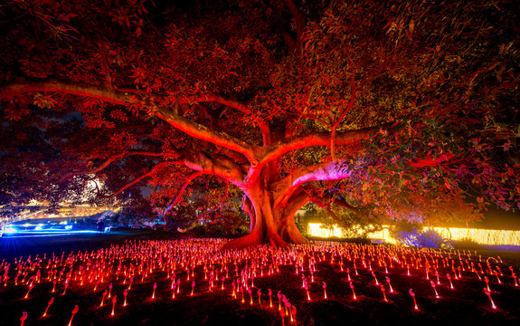 Vivid Sydney Festival 2016