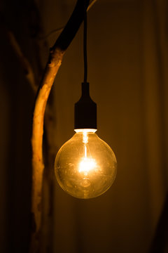 Electric retro light bulb decor