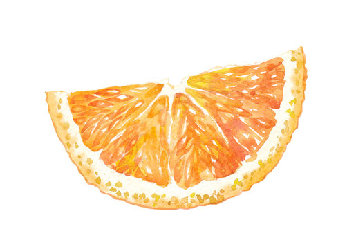half slices of orange watercolor