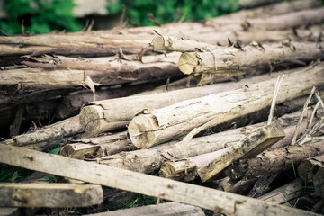 Eucalyptus lumber for construction. retro filter