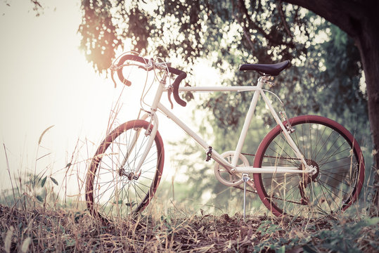 beautiful landscape image with sport vintage Bicycle at sunset