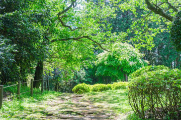 Promenade of the Yamanaka Castle ruin Park