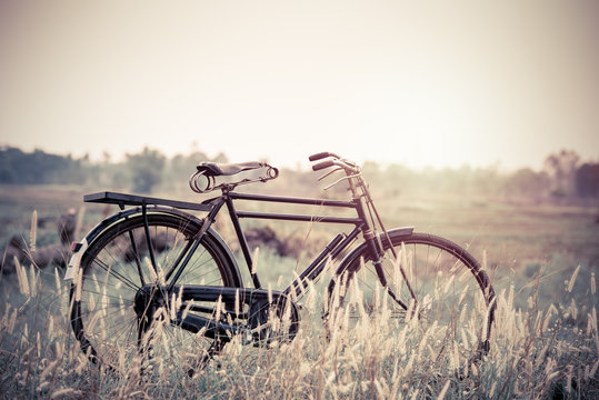 beautiful landscape image with Bicycle at sunset;vintage color t