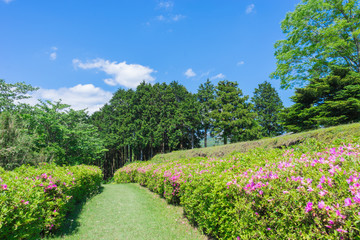 Walk road of the Yamanaka Castle ruin Park