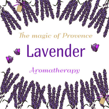 Lavender bouquets background