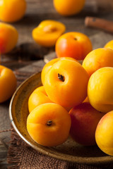 Raw Organic Yellow Plumcots