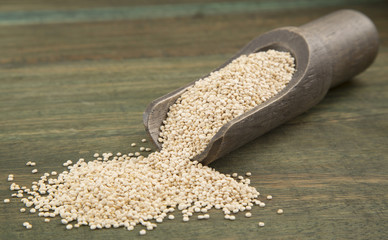 Quinoa in wooden spoon