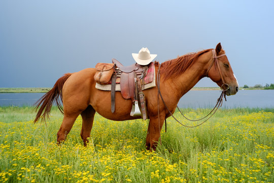 Cowboy hat on horse