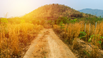 Rural way in urban. vintage filter