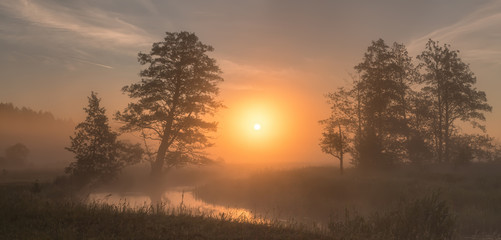 Bright summer sunrise