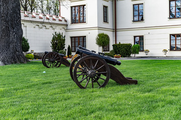 Small cannons on hte court of a baroque castle in south-eastern Poland
