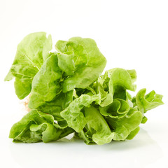 lettuce