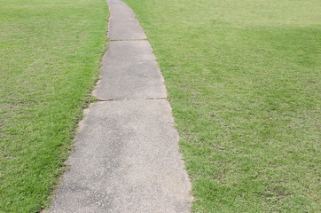 A passage in the backyard with green grass.