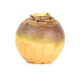 Swede isolated on white background