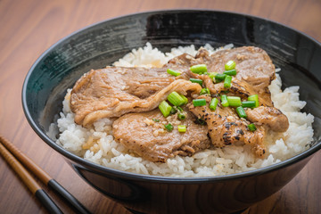 Butadon, roasted pork with japanese rice in bowl