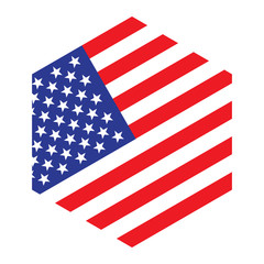 usa flag hexagon icon logo vector illustration. independence day. 4th of July