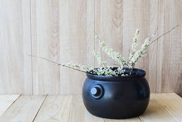 East Asian concept, white blooming branch on wooden background
