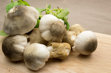 Straw mushroom on a wood background.