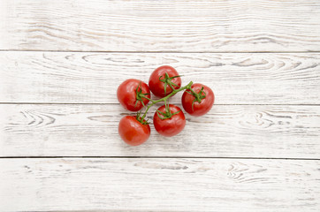 Tomatoes. Branch of tomatoes