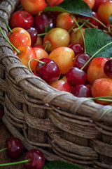 Sweet Cherries in wicker basket close up