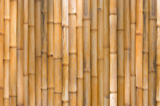 bamboo texture, bamboo fence background.