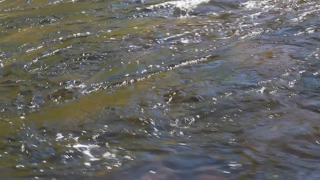 wave current of the river, driftwood, tree and grass