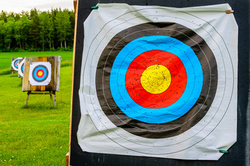 Outdoor archery targets on grass field surrounded by forest in the summer evening. - 114288904