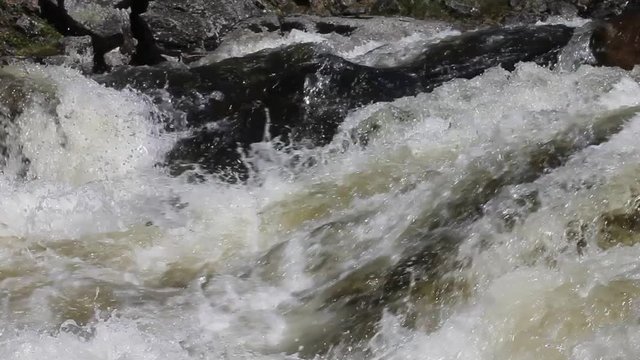 wave current of the river, driftwood, tree and grass