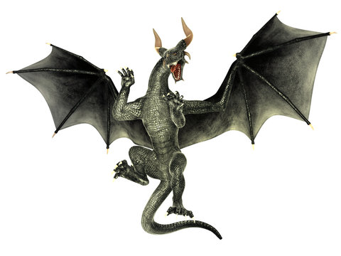 Elegant dragon isolated on white background 3d illustration