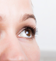 Obraz premium Beautiful young woman eyelash extension. Woman eye with long eyelashes. Beauty salon concept