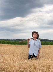 Senior peasant in golden barley field