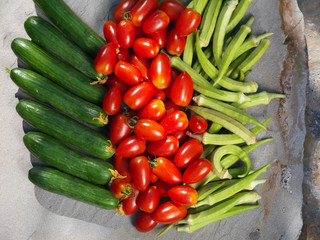 Tomato, cucumbers and okra. Still life.