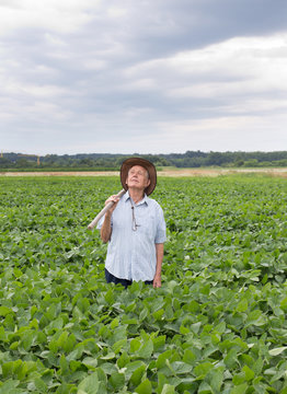 Senior peasant in soybean field