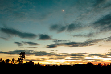 Twilight sky and rainy cloud with tree. High level of noise. Nig