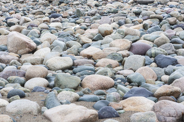 Rocky New England beach