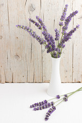 White vase with fresh lavender flowers