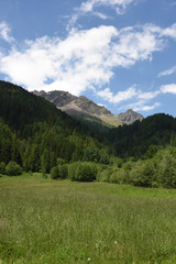 Fototapeta na wymiar montagna montagne paesaggio di montagna panorama di montagna cime bosco boschi 