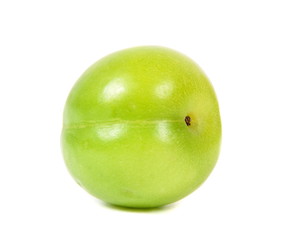 cherry-plum on the white