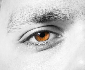 Male eye macro shot