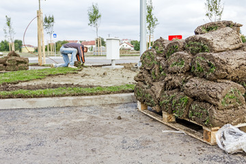 Unrolling grass, applying turf rolls for a new lawn