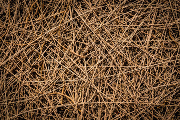 Dry branch pattern. Background.