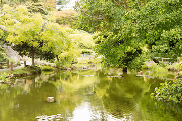 Fototapeta na wymiar The Japanese Tea Garden in Golden Gate Park in San Francisco