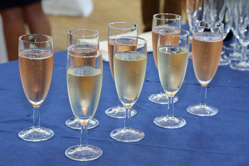 Sekt weiß und rosé
