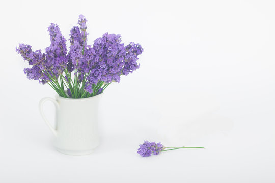 Fototapeta Bouquet of lavender in a white porcelain jug vase