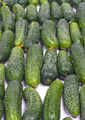 bunch of cucumbers