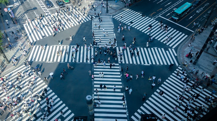 Sukiyabashi intersection - obrazy, fototapety, plakaty