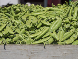 Sugar Snap Peas in a New York Farmers Market