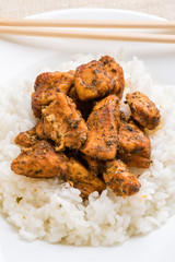 condimented chicken with rice