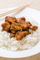 condimented chicken with rice