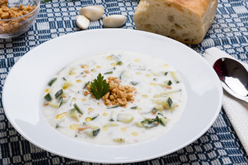 tarator in white plate